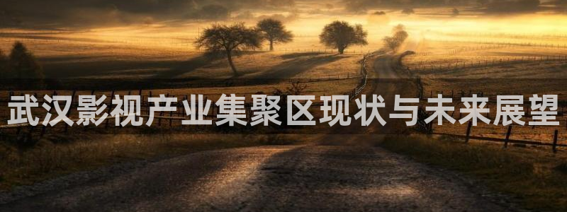 飘雪影院在线观看免费完整版高清大：武汉影视产业集聚区现状与未来展望