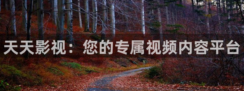 飘雪影院在线观看高清电影动漫：天天影视：您的专属视频内容平台