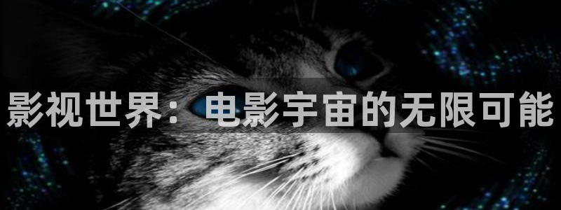 飘雪影院在线观看高清动漫：影视世界：电影宇宙的无限可能