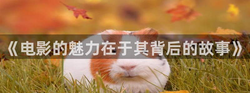 飘雪影院手机观看免费完整版高清：《电影的魅力在于其背后的故事》