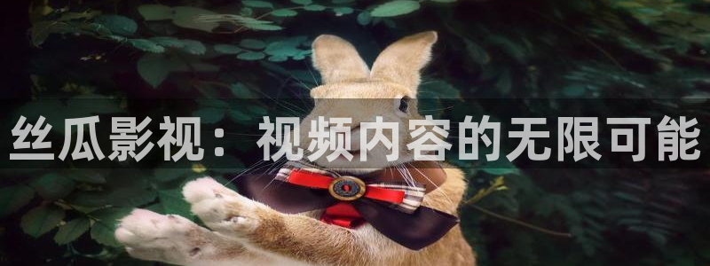 飘雪影院在线观看完整版免费高清：丝瓜影视：视频内容的无限可能