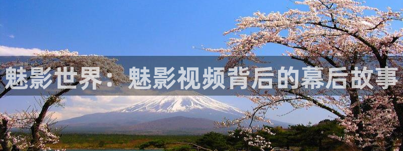 飘雪影院在线观看完整版免费：魅影世界：魅影视频背后的幕后故事