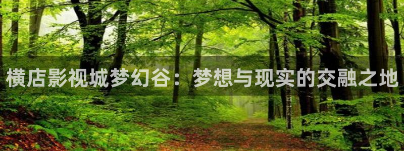 飘雪影视在线观看高清电影：横店影视城梦幻谷：梦想与现实的交融之地