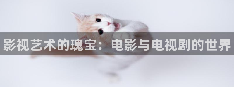 飘雪影院免费观看短剧：影视艺术的瑰宝：电影与电视剧的世界