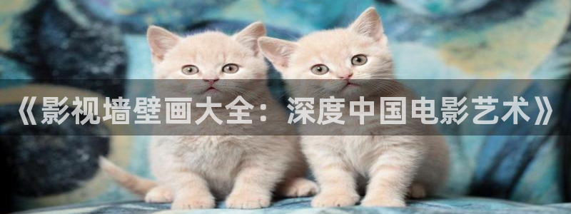 飘雪影院在线观看高清动漫：《影视墙壁画大全：深度中国电影艺术》