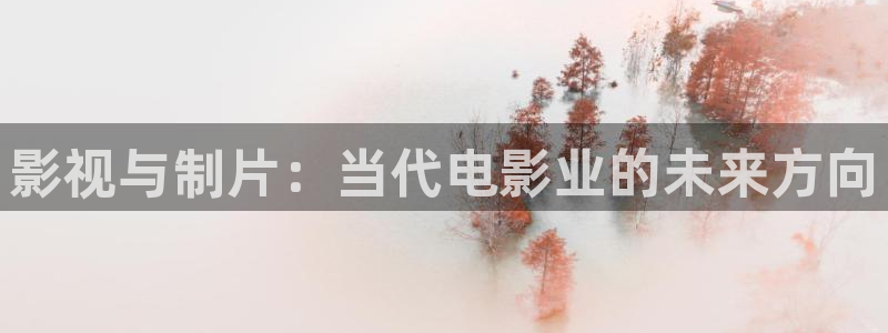 飘雪影视在线看：影视与制片：当代电影业的未来方向