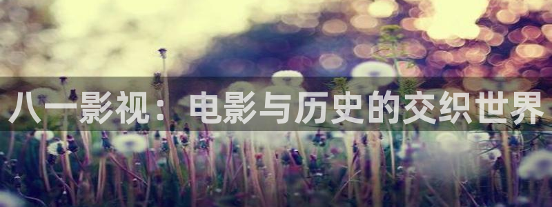 飘雪影院日剧免费观看：八一影视：电影与历史的交织世界