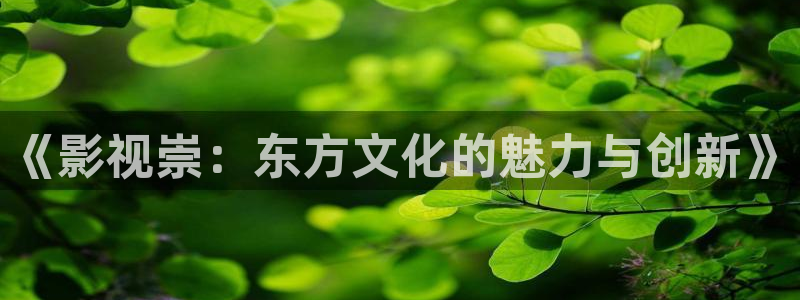 飘雪影院免费观看电视剧电影：《影视崇：东方文化的魅力与创新》