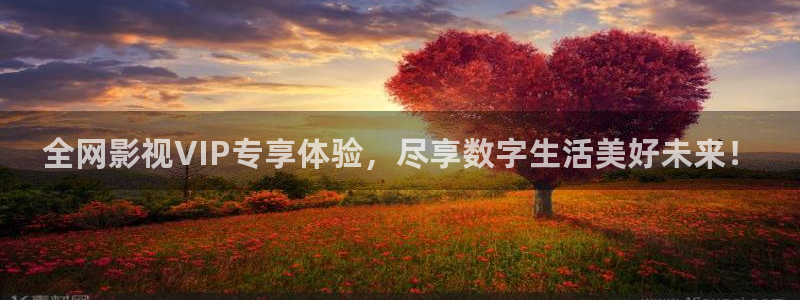 飘雪影院热门电视剧：全网影视VIP专享体验，尽享数字生活美好未来！