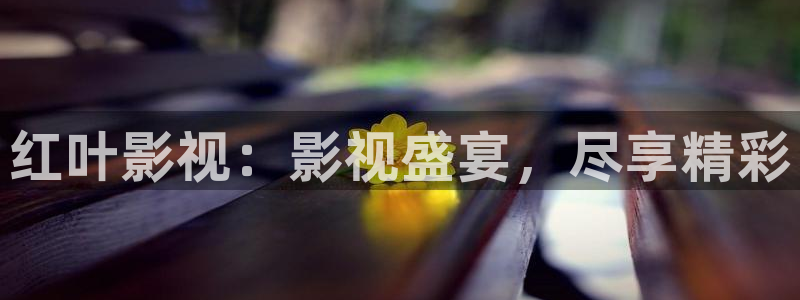 飘雪影院电视剧免费观看：红叶影视：影视盛宴，尽享精彩