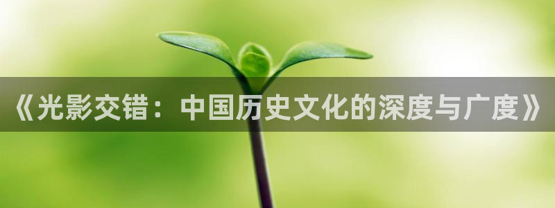 飘雪影视：《光影交错：中国历史文化的深度与广度》