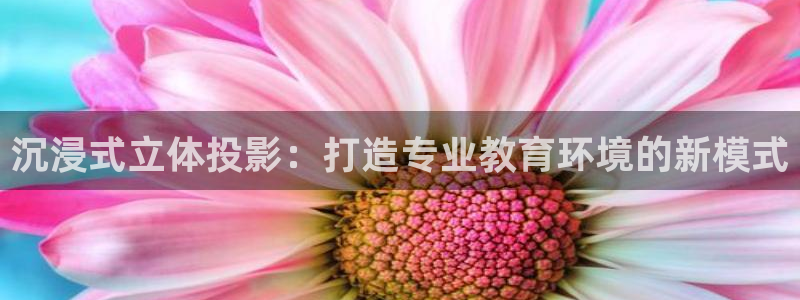 飘雪影院在线观看高清：沉浸式立体投影：打造专业教育环境的新模式
