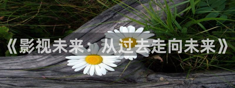 飘雪影院高清电影：《影视未来：从过去走向未来》
